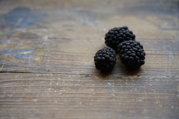 Blackberry and Bay Type - Candle Fragrance Oil