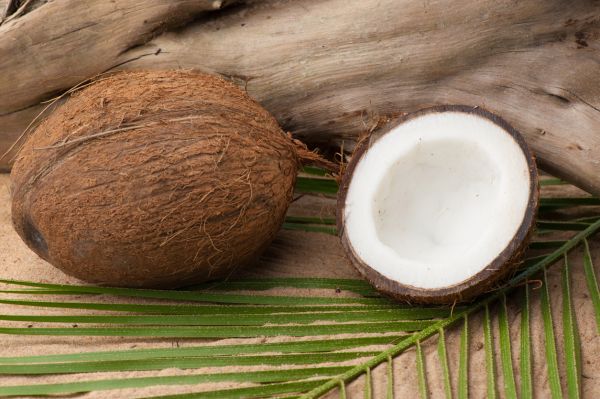 Coconut - Candle Fragrance Oil